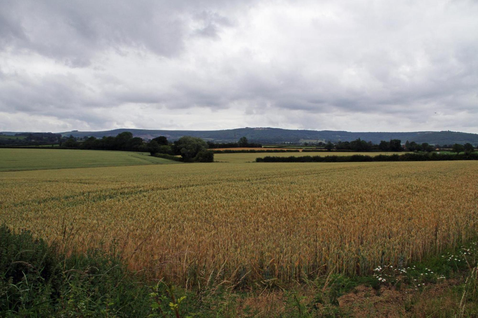 Oyo White Horse Lodge Hotel, East Thirsk Bagby Екстериор снимка